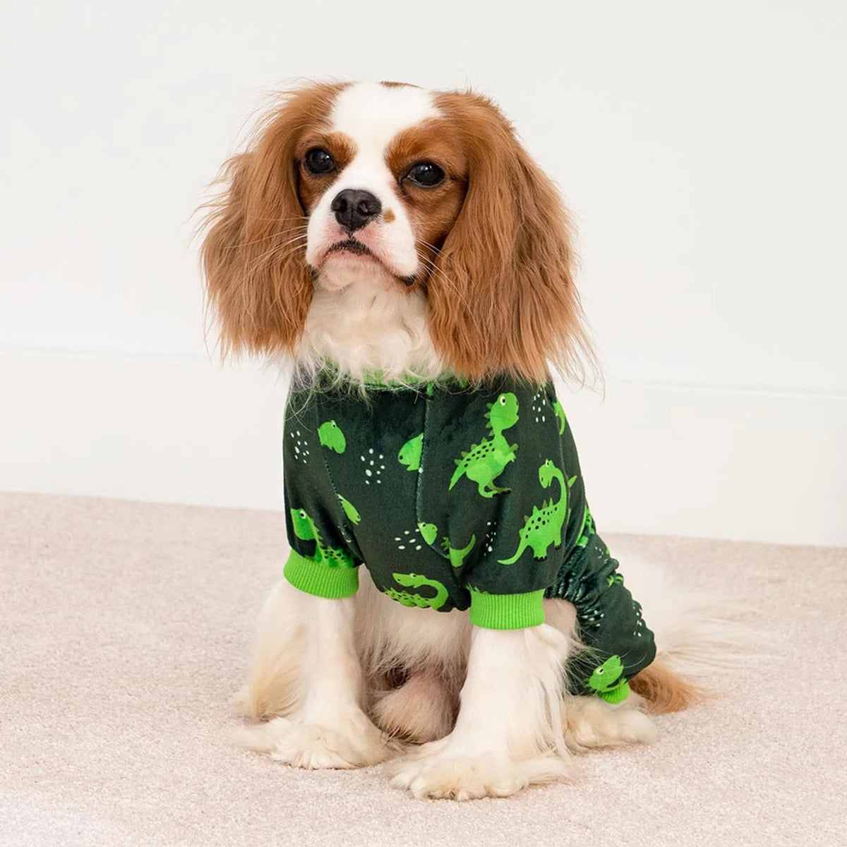 ENTERIZO PIJAMA PARA PERRO DISEÑO DINOSAURIO VERDE ROPA ABRIGADORA MASCOTA PERRO O GATO – TALLA XXL