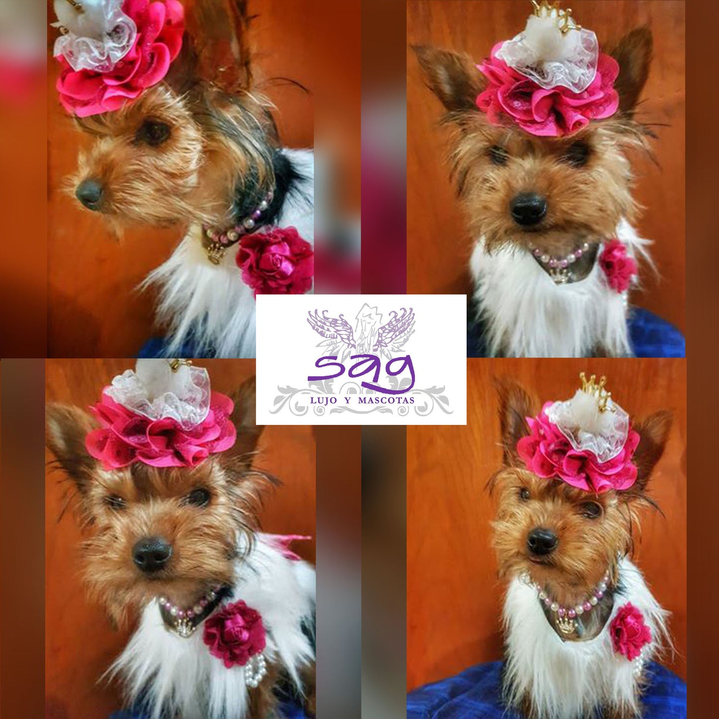 Long Hair Coat Shiny and Charming Pet Dog Cat – WHITE / Abrigo Pelo Largo Brillos y Encanto Mascota Perro Gato – BLANCO