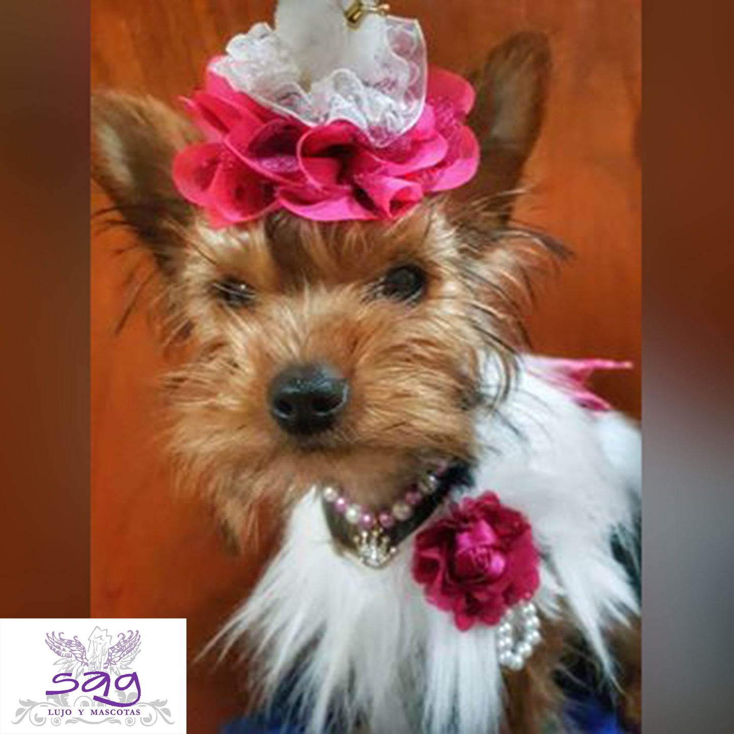 Long Hair Coat Shiny and Charming Pet Dog Cat – WHITE / Abrigo Pelo Largo Brillos y Encanto Mascota Perro Gato – BLANCO