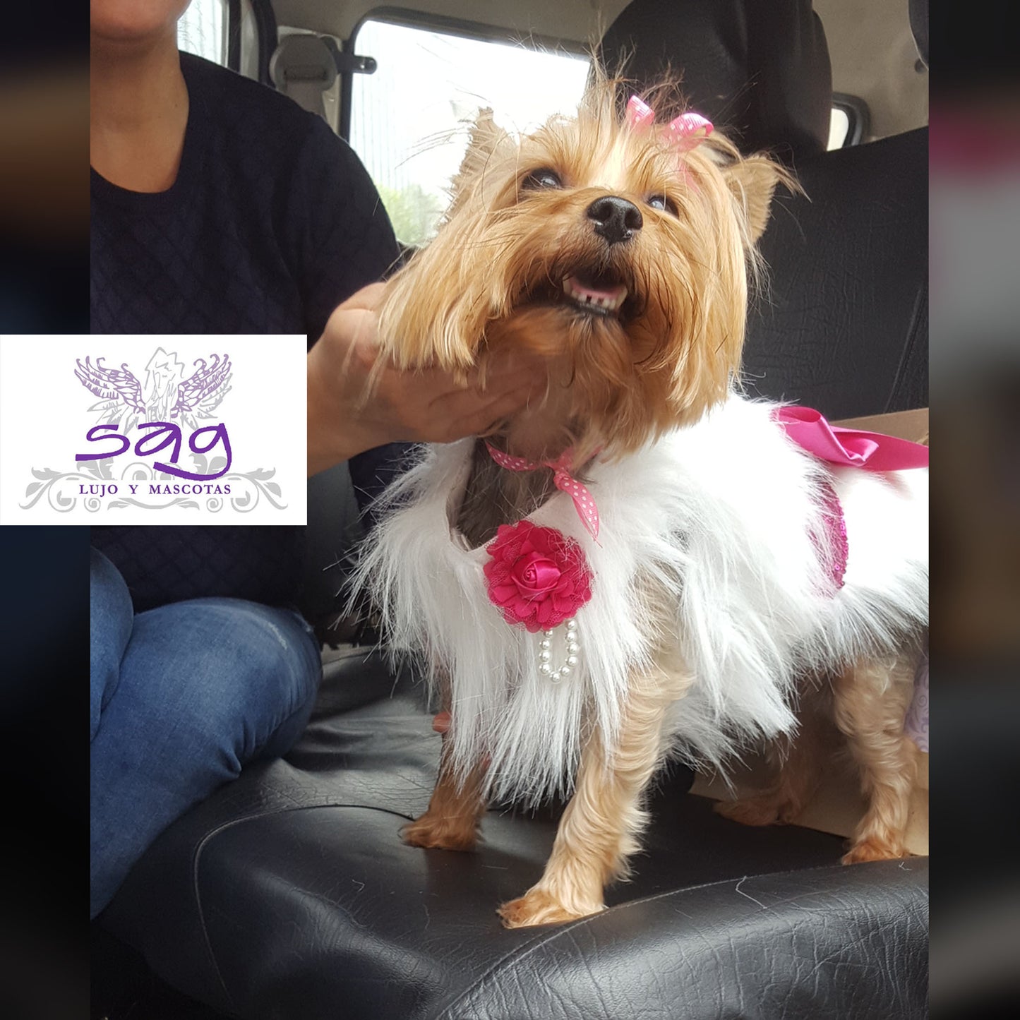 Long Hair Coat Shiny and Charming Pet Dog Cat – WHITE / Abrigo Pelo Largo Brillos y Encanto Mascota Perro Gato – BLANCO