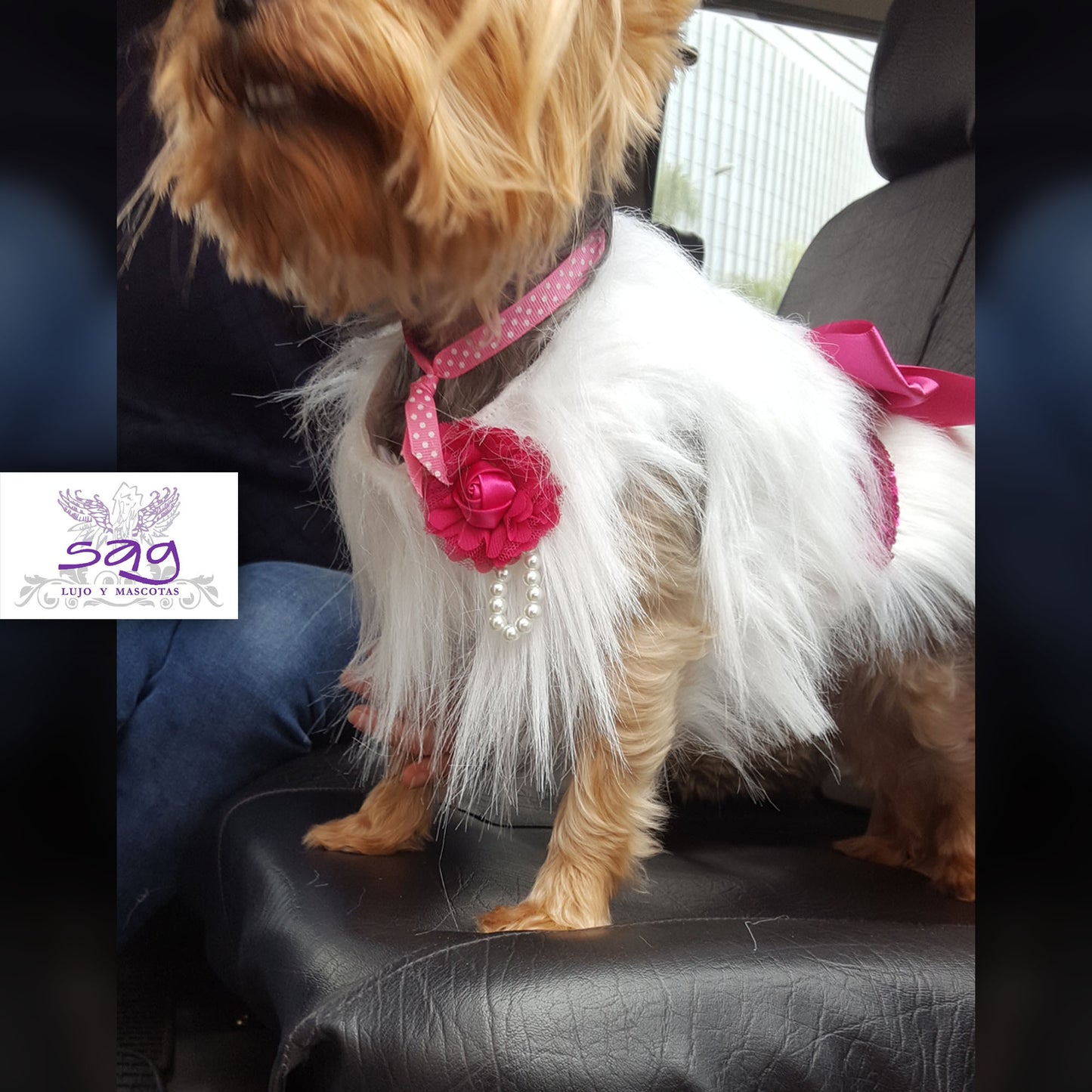 Long Hair Coat Shiny and Charming Pet Dog Cat – WHITE / Abrigo Pelo Largo Brillos y Encanto Mascota Perro Gato – BLANCO