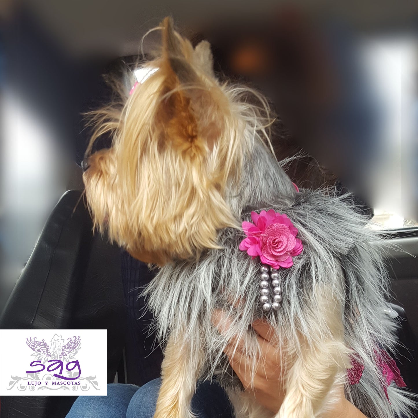 Long Hair Coat Shiny and Charming Pet Dog Cat – GREY / Abrigo Pelo Largo Brillos y Encanto Mascota Perro Gato – GRIS
