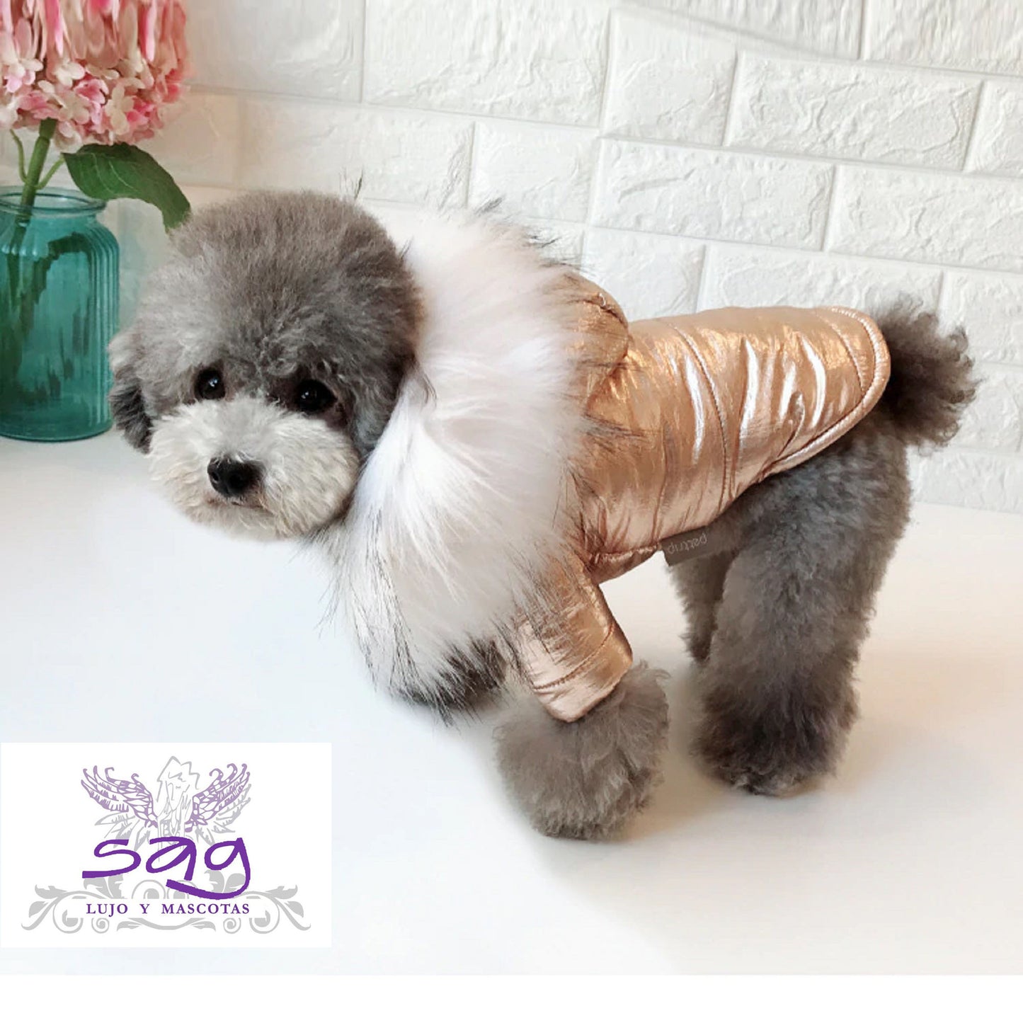 GOLDEN PADDED THERMAL JACKET FOR PETS DOGS CATS || CASACA TÉRMICA ACOLCHADA DORADA PARA MASCOTAS PERROS GATOS