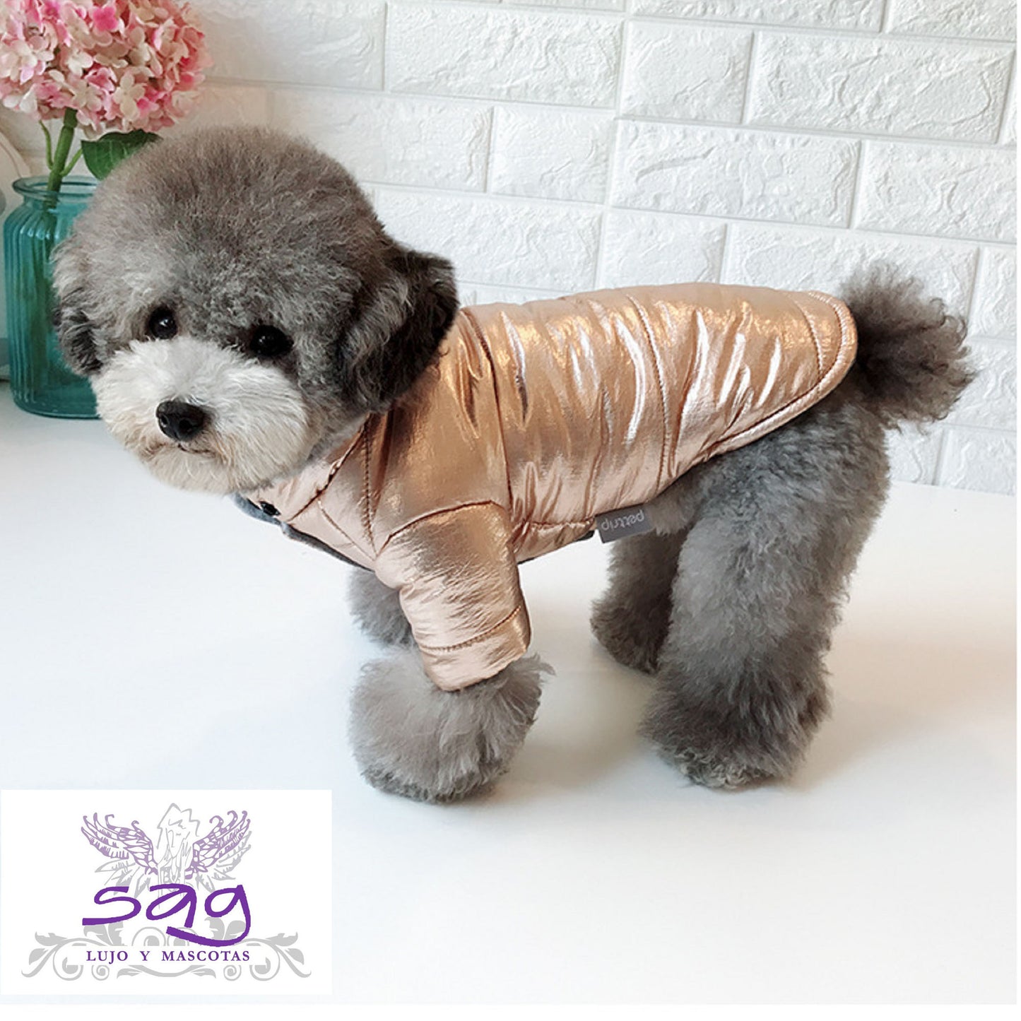 GOLDEN PADDED THERMAL JACKET FOR PETS DOGS CATS || CASACA TÉRMICA ACOLCHADA DORADA PARA MASCOTAS PERROS GATOS