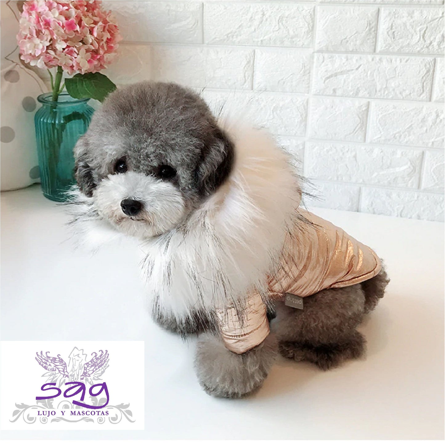GOLDEN PADDED THERMAL JACKET FOR PETS DOGS CATS || CASACA TÉRMICA ACOLCHADA DORADA PARA MASCOTAS PERROS GATOS