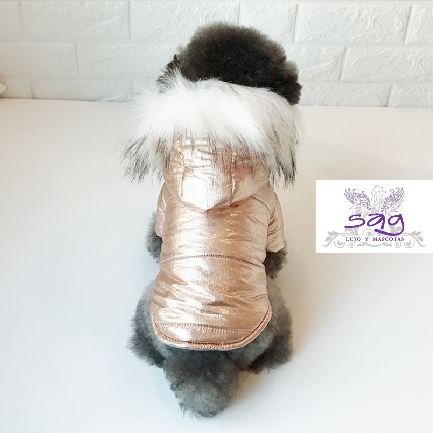 GOLDEN PADDED THERMAL JACKET FOR PETS DOGS CATS || CASACA TÉRMICA ACOLCHADA DORADA PARA MASCOTAS PERROS GATOS