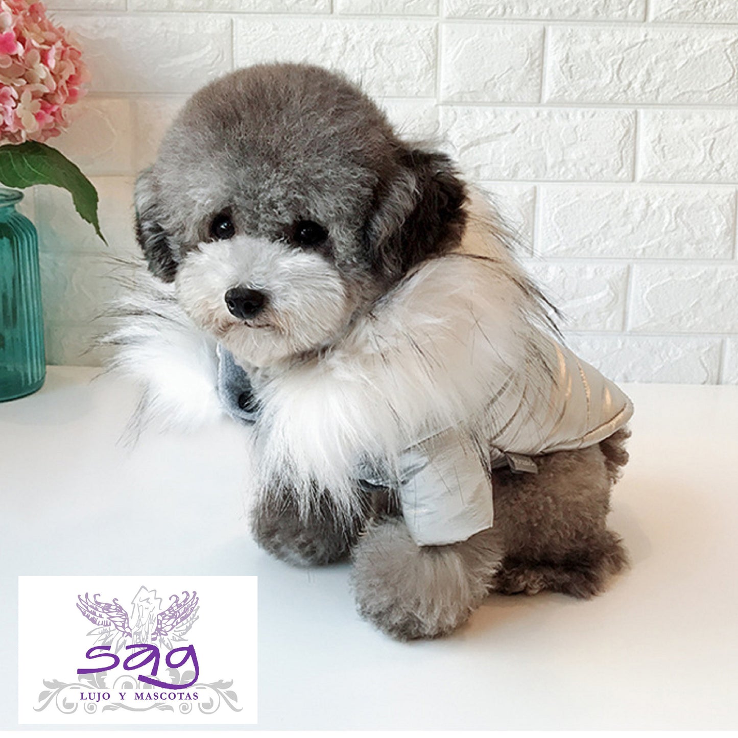 SILVER PADDED THERMAL JACKET FOR PETS DOGS CATS || CASACA TÉRMICA ACOLCHADA PLATEADA PARA MASCOTAS PERROS GATOS