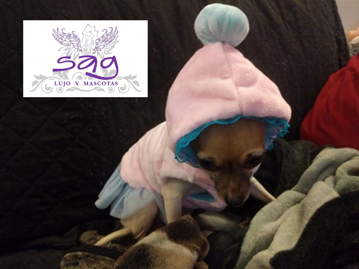 PINK TUTU PET COAT PET DOGS CATS || ABRIGO PARA MASCOTA ROSADO TUTU CELESTE MASCOTAS PERROS GATOS