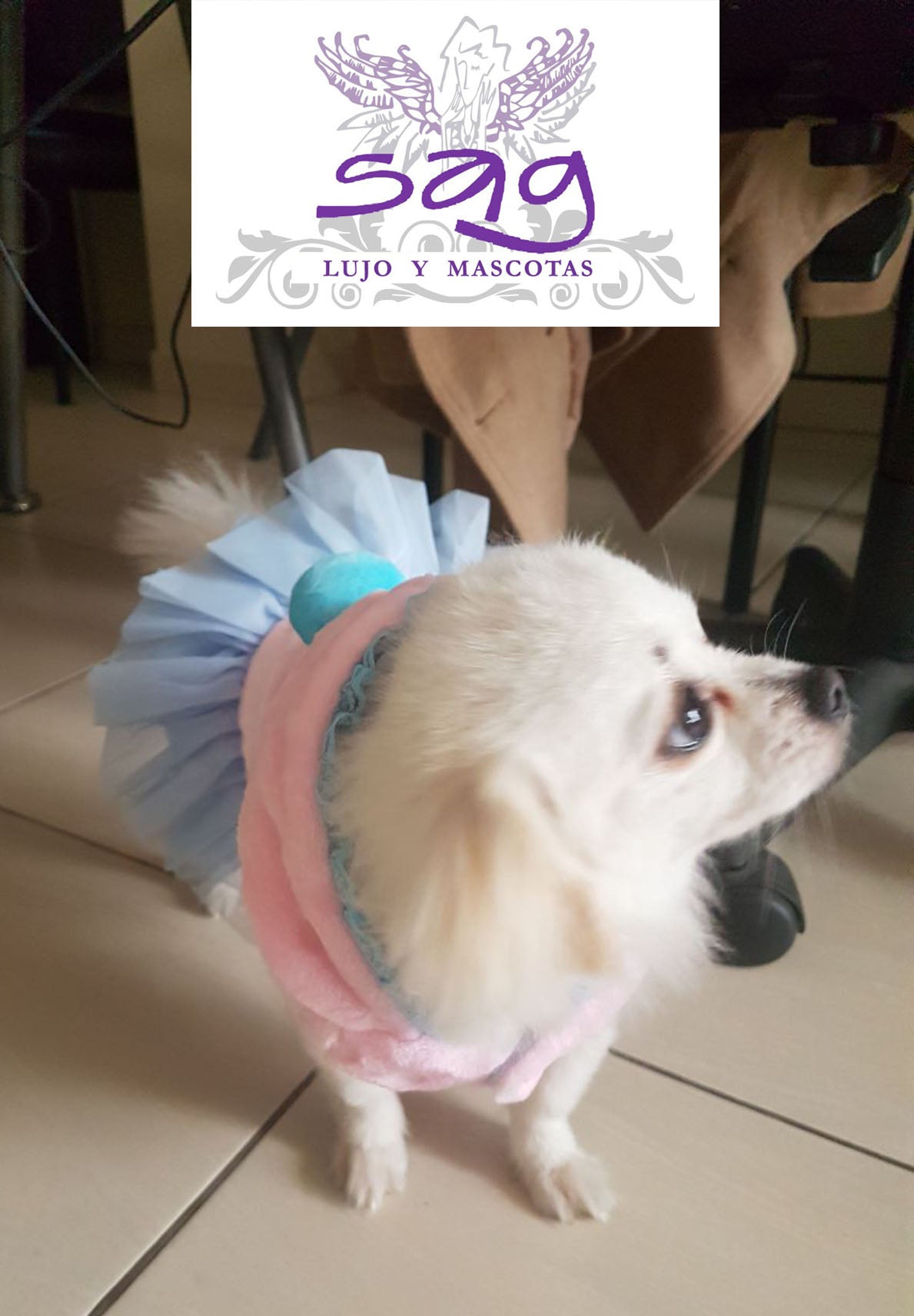 PINK TUTU PET COAT PET DOGS CATS || ABRIGO PARA MASCOTA ROSADO TUTU CELESTE MASCOTAS PERROS GATOS