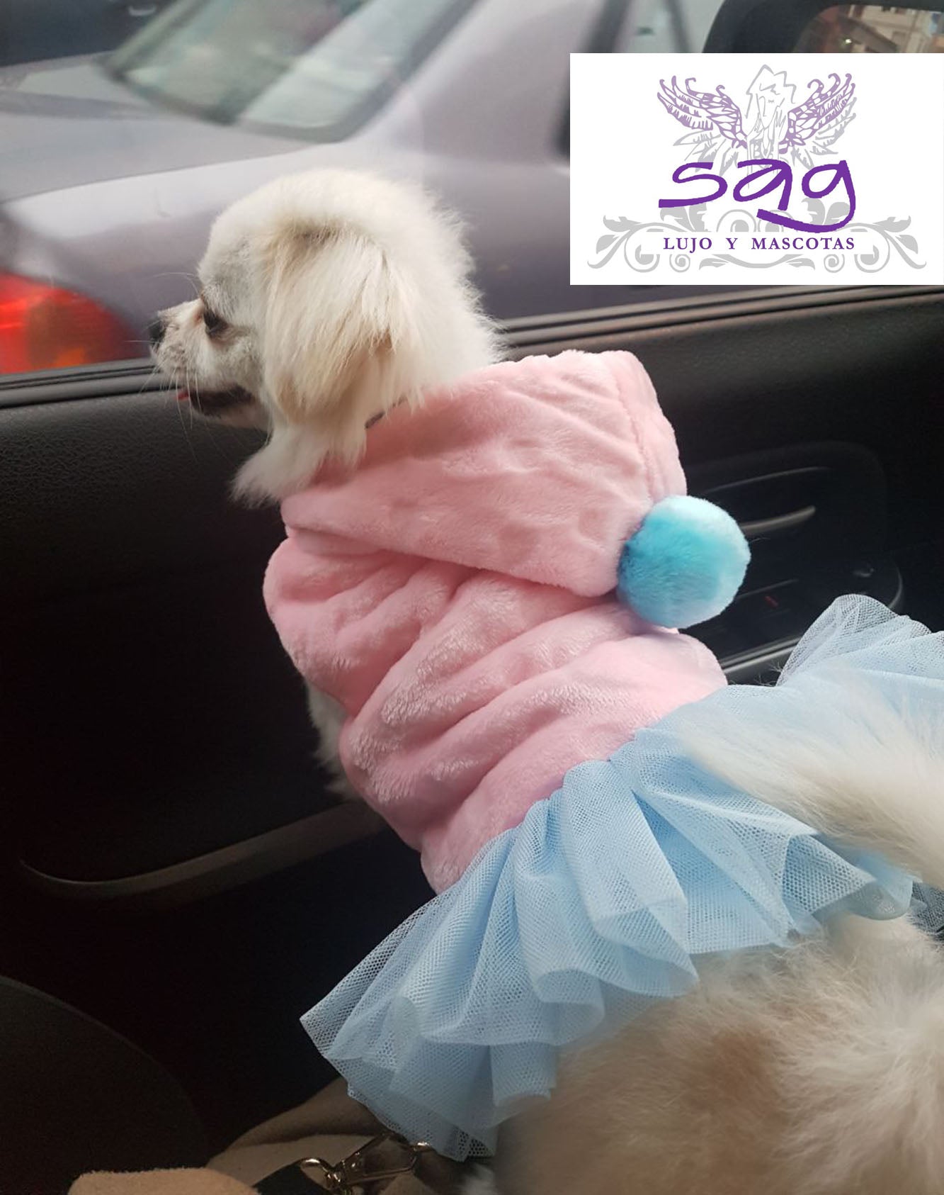 PINK TUTU PET COAT PET DOGS CATS || ABRIGO PARA MASCOTA ROSADO TUTU CELESTE MASCOTAS PERROS GATOS