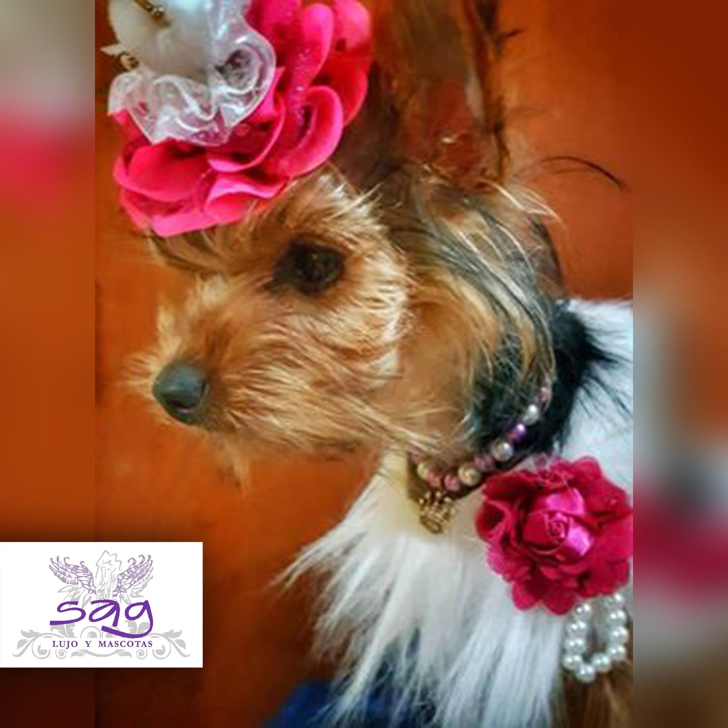Long Hair Coat Shiny and Charming Pet Dog Cat – WHITE / Abrigo Pelo Largo Brillos y Encanto Mascota Perro Gato – BLANCO