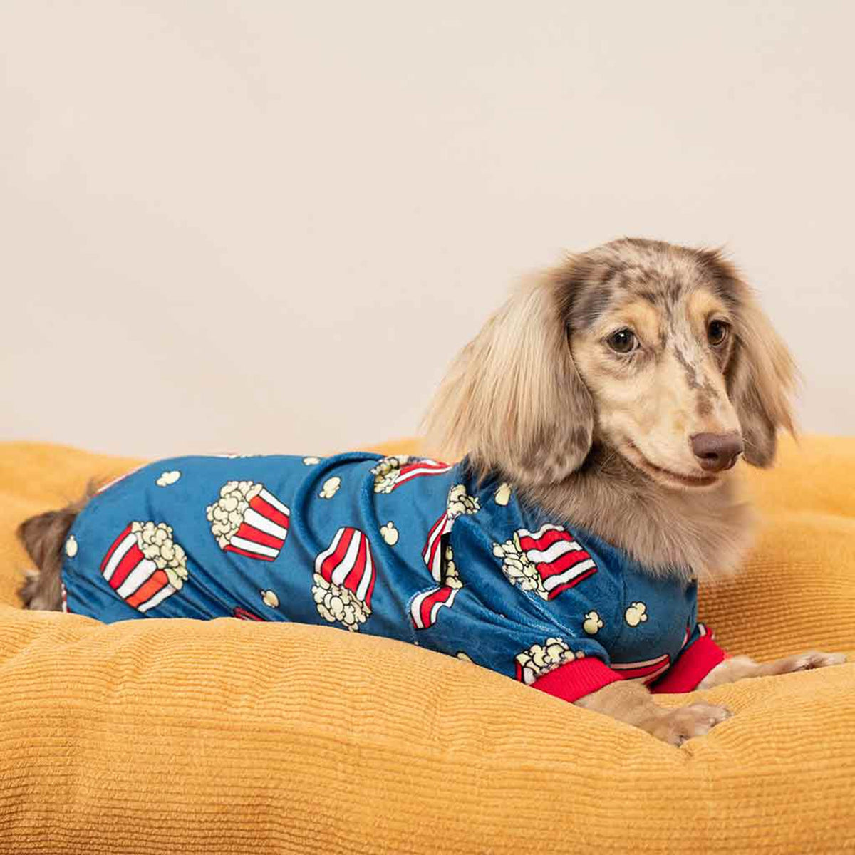 ENTERIZO PARA MASCOTA DISEÑO CANCHITA POP CORN TELA PLUSH ROPA ABRIGADORA PERRO GATO – TALLA L