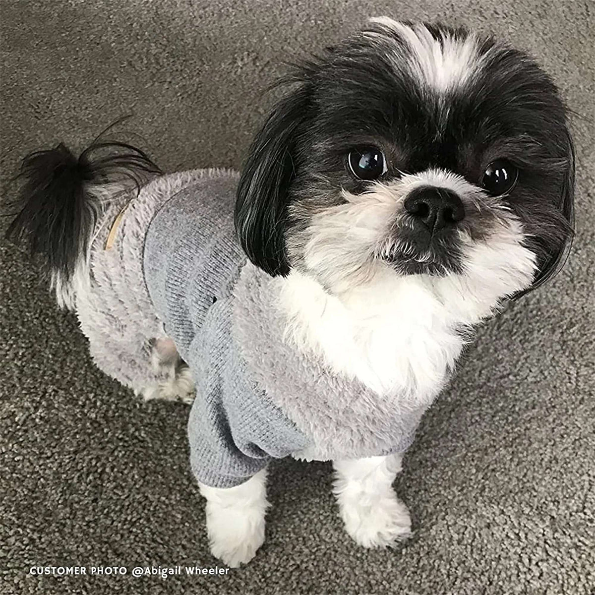 ENTERIZO CELESTE ROPA PARA PERRO GATO MASCOTA – TALLA XXL