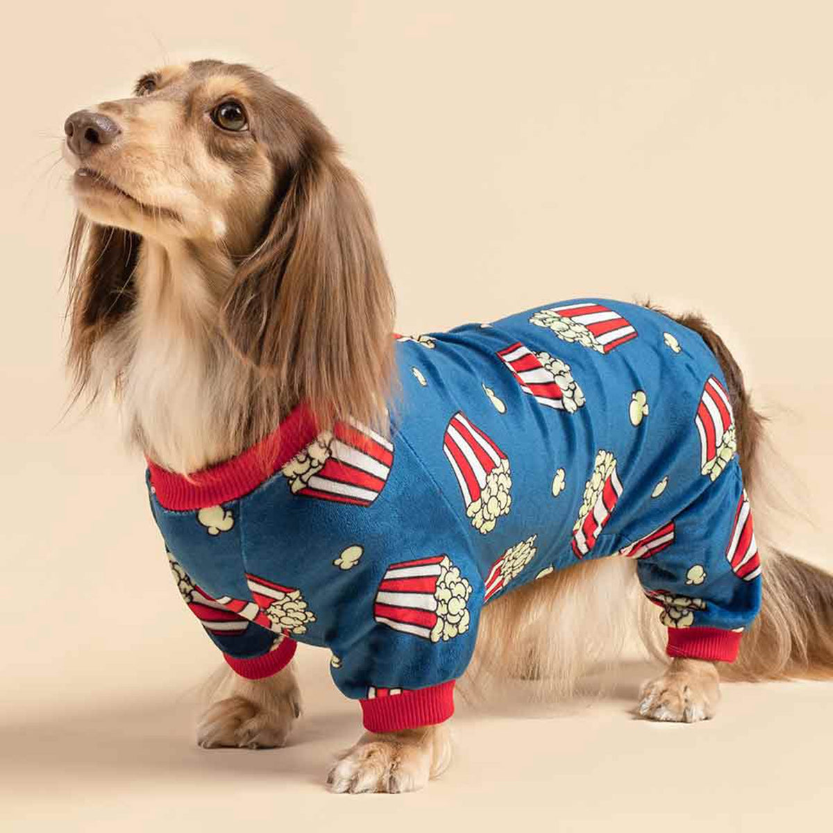 ENTERIZO PARA MASCOTA DISEÑO CANCHITA POP CORN TELA PLUSH ROPA ABRIGADORA PERRO GATO – TALLA L