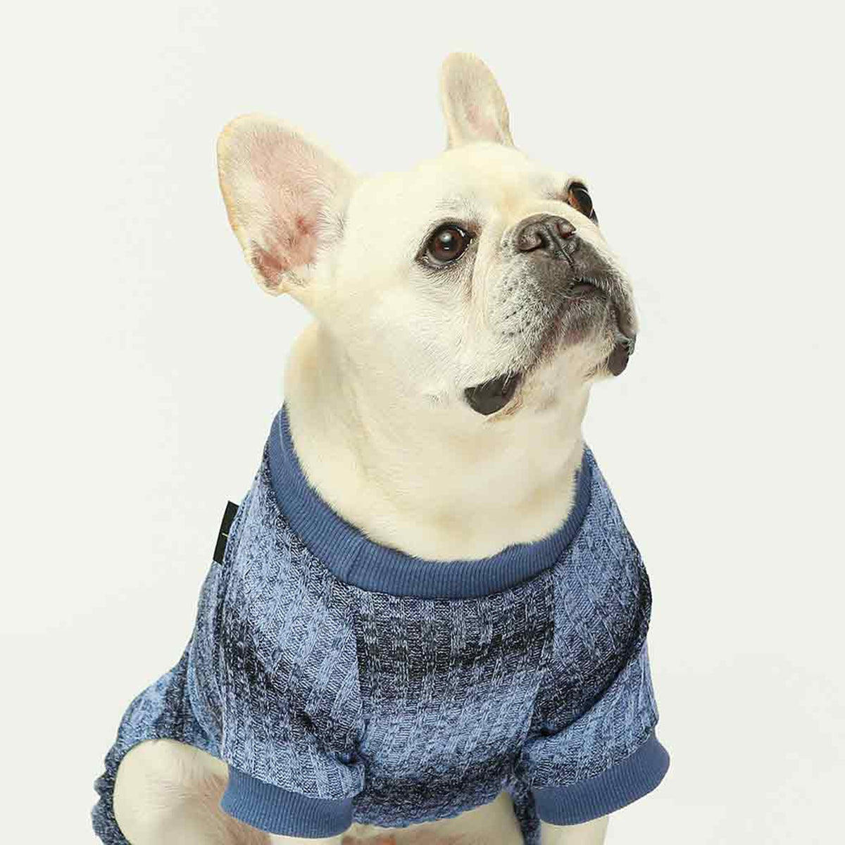 ROPA PARA PERRO ENTERIZO NARANJA TEJIDO SUAVE Y ABRIGADOR – TALLA XXL