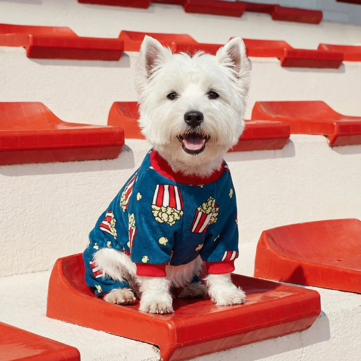 ENTERIZO PARA MASCOTA DISEÑO CANCHITA POP CORN TELA PLUSH ROPA ABRIGADORA PERRO GATO – TALLA L