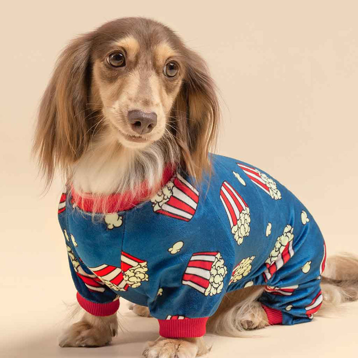 ENTERIZO PARA MASCOTA DISEÑO CANCHITA POP CORN TELA PLUSH ROPA ABRIGADORA PERRO GATO – TALLA L