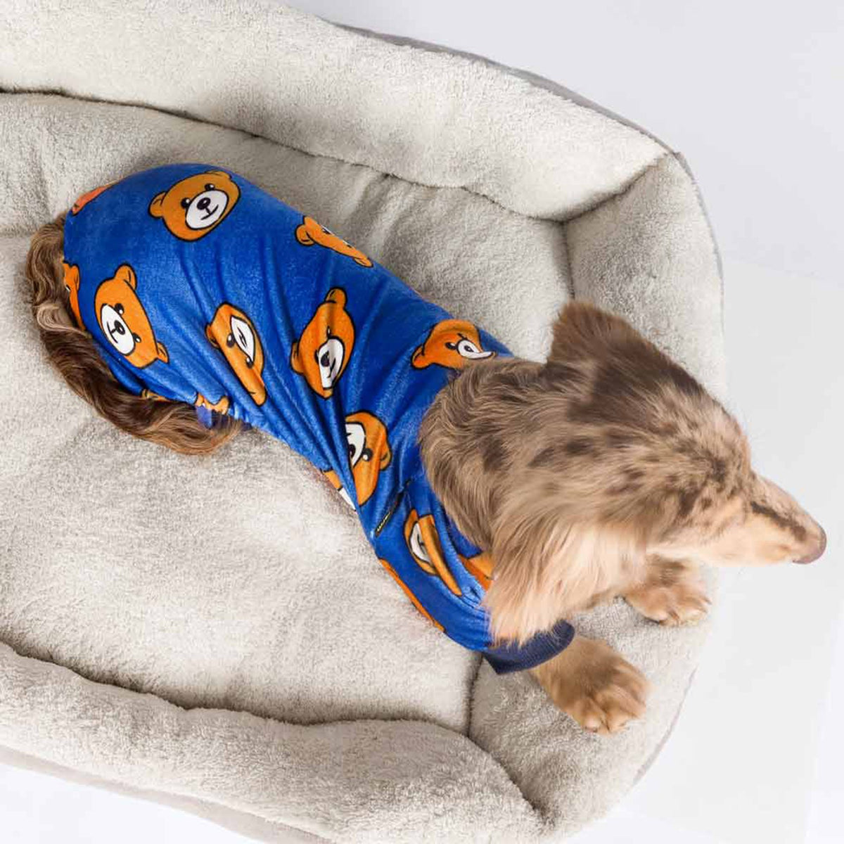 ENTERIZO PARA PERRO GATO DISEÑO OSITOS AZUL TELA PLUSH ROPA ABRIGADORA PERRO GATO – TALLA M