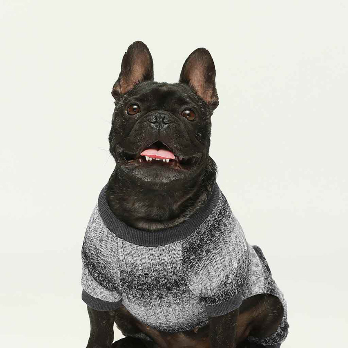 ROPA PARA PERRO ENTERIZO NARANJA TEJIDO SUAVE Y ABRIGADOR – TALLA XXL