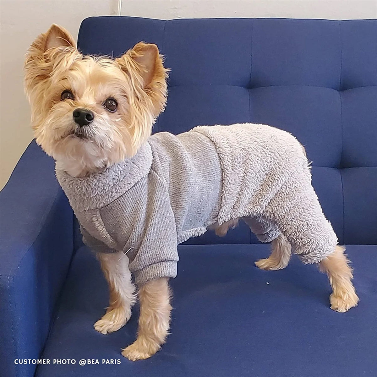 ENTERIZO CELESTE ROPA PARA PERRO GATO MASCOTA – TALLA XXL