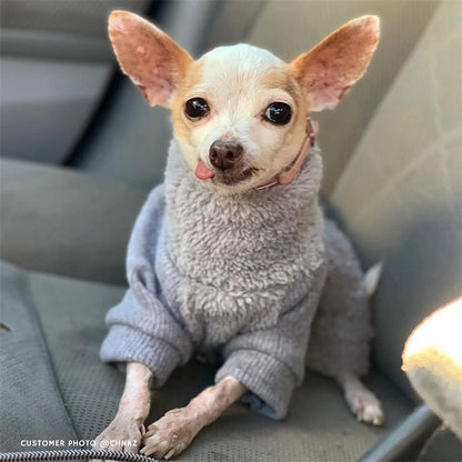ENTERIZO CELESTE ROPA PARA PERRO GATO MASCOTA – TALLA XXL
