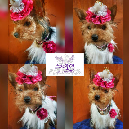 Long Hair Coat Shiny and Charming Pet Dog Cat – WHITE / Abrigo Pelo Largo Brillos y Encanto Mascota Perro Gato – BLANCO