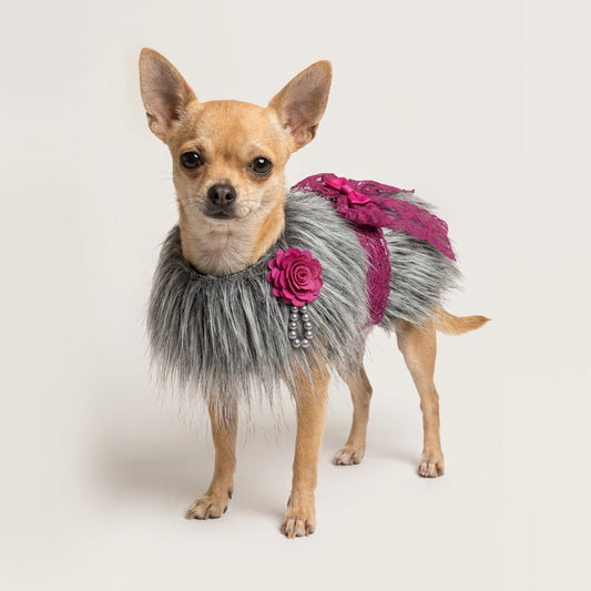 Abrigo Pelo Largo Brillos y Encanto Mascota Perro Gato – GRIS
