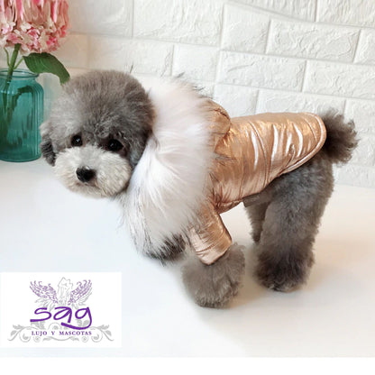 GOLDEN PADDED THERMAL JACKET FOR PETS DOGS CATS || CASACA TÉRMICA ACOLCHADA DORADA PARA MASCOTAS PERROS GATOS